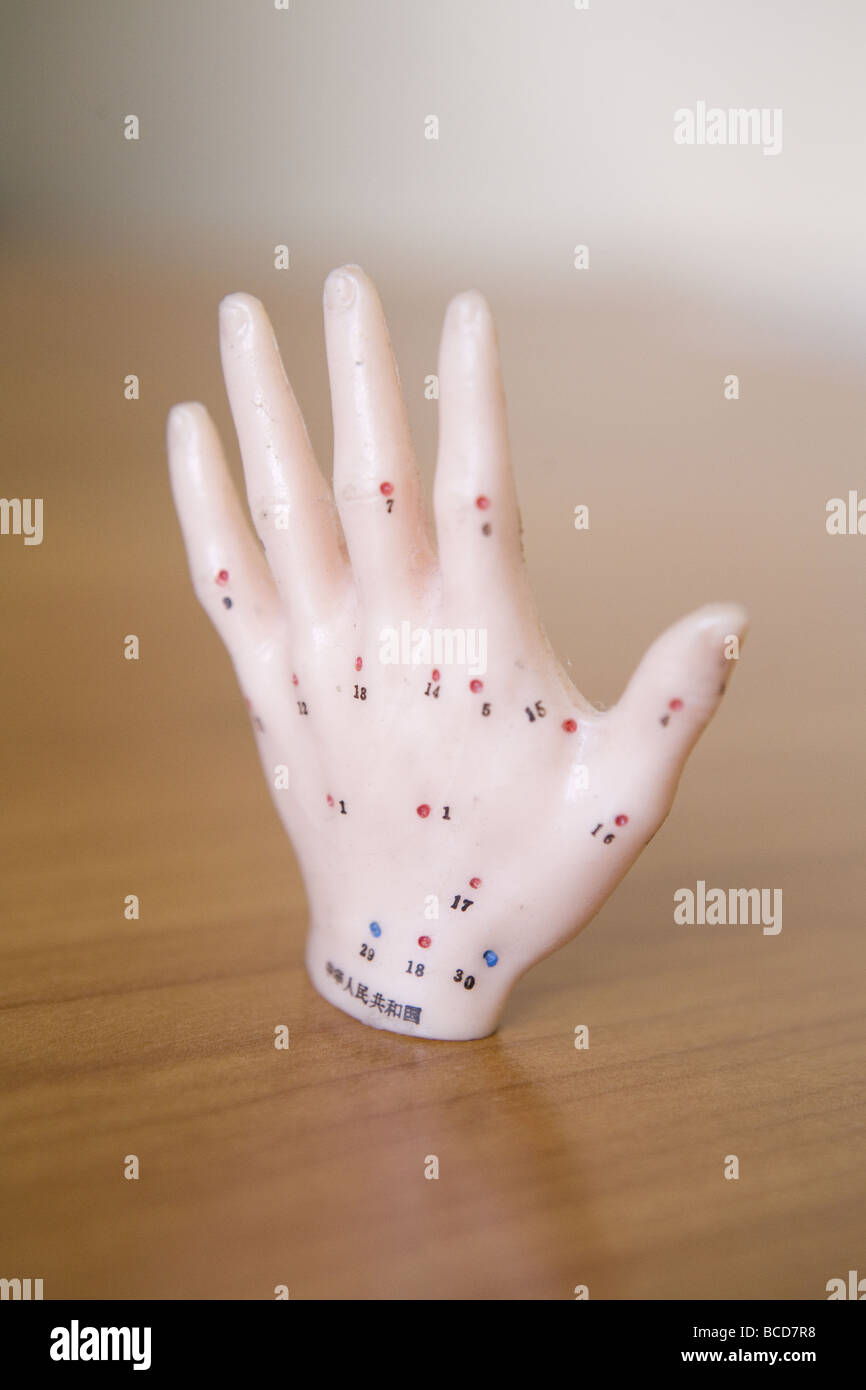 Acupuncture meridians hi-res stock photography and images - Alamy