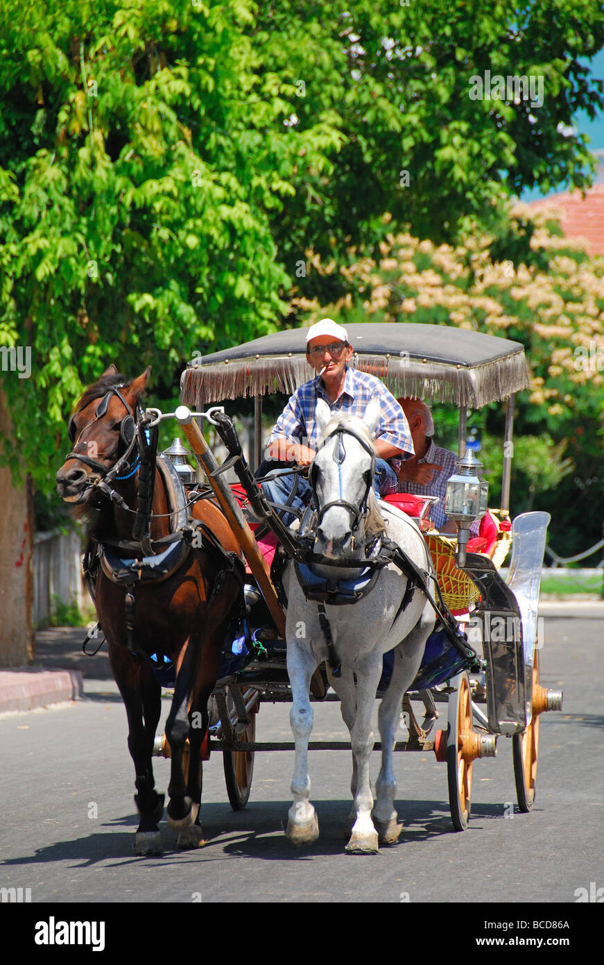 ISTANBUL, TURKEY. A horsedrawn carriage on the Princes' Island of