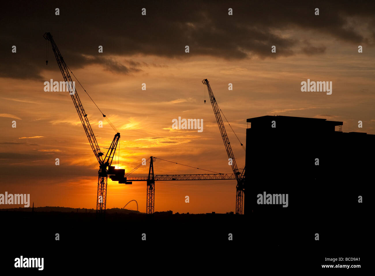 Cranes Silhouette during sunset, London UK Stock Photo
