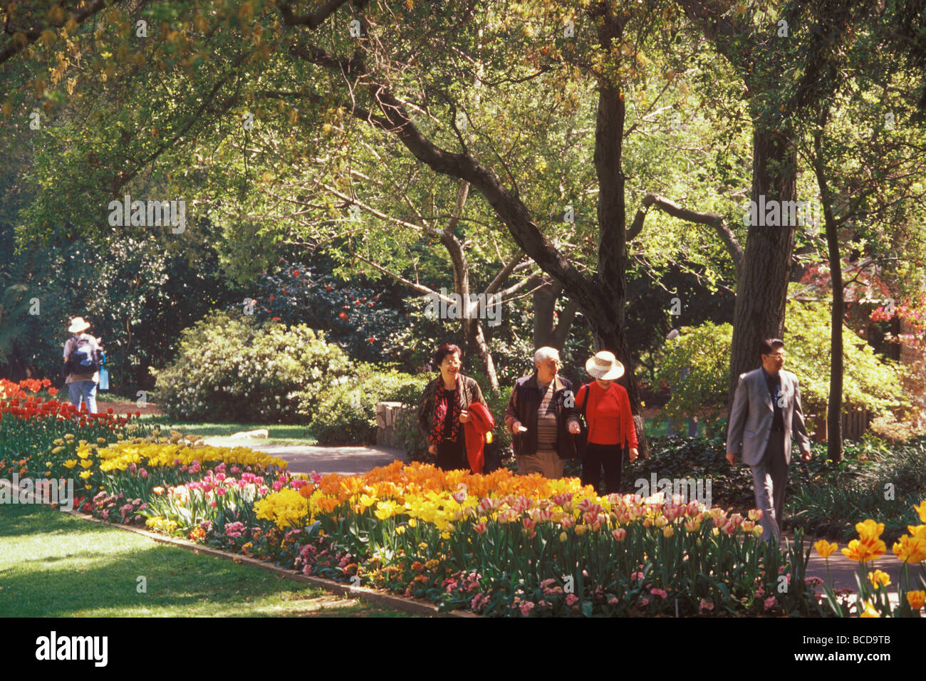 tulip promenade descanso gardens la canada flintridge california