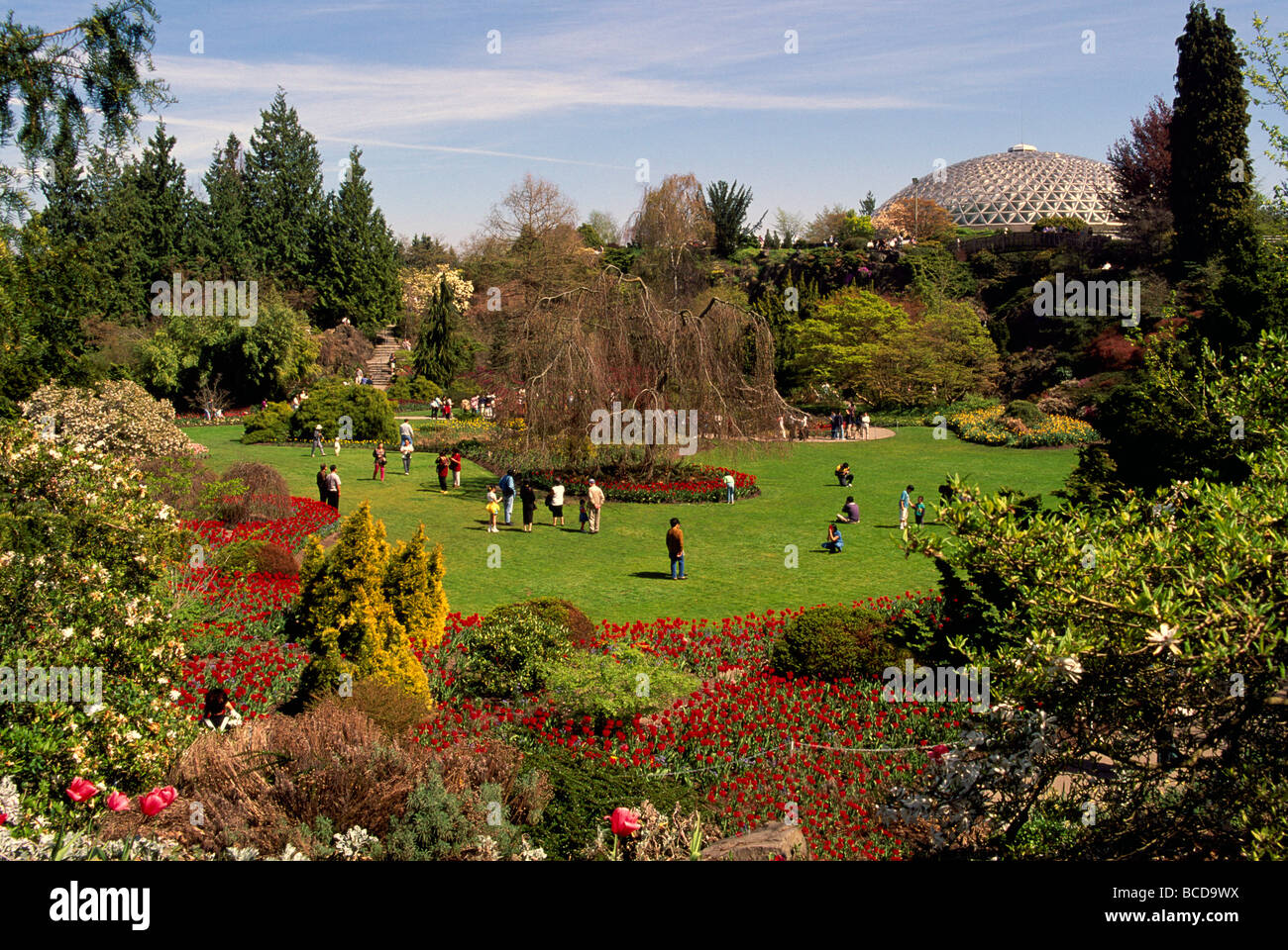 Spring Flowers bloom in Flower Gardens at Bloedel Floral Conservatory