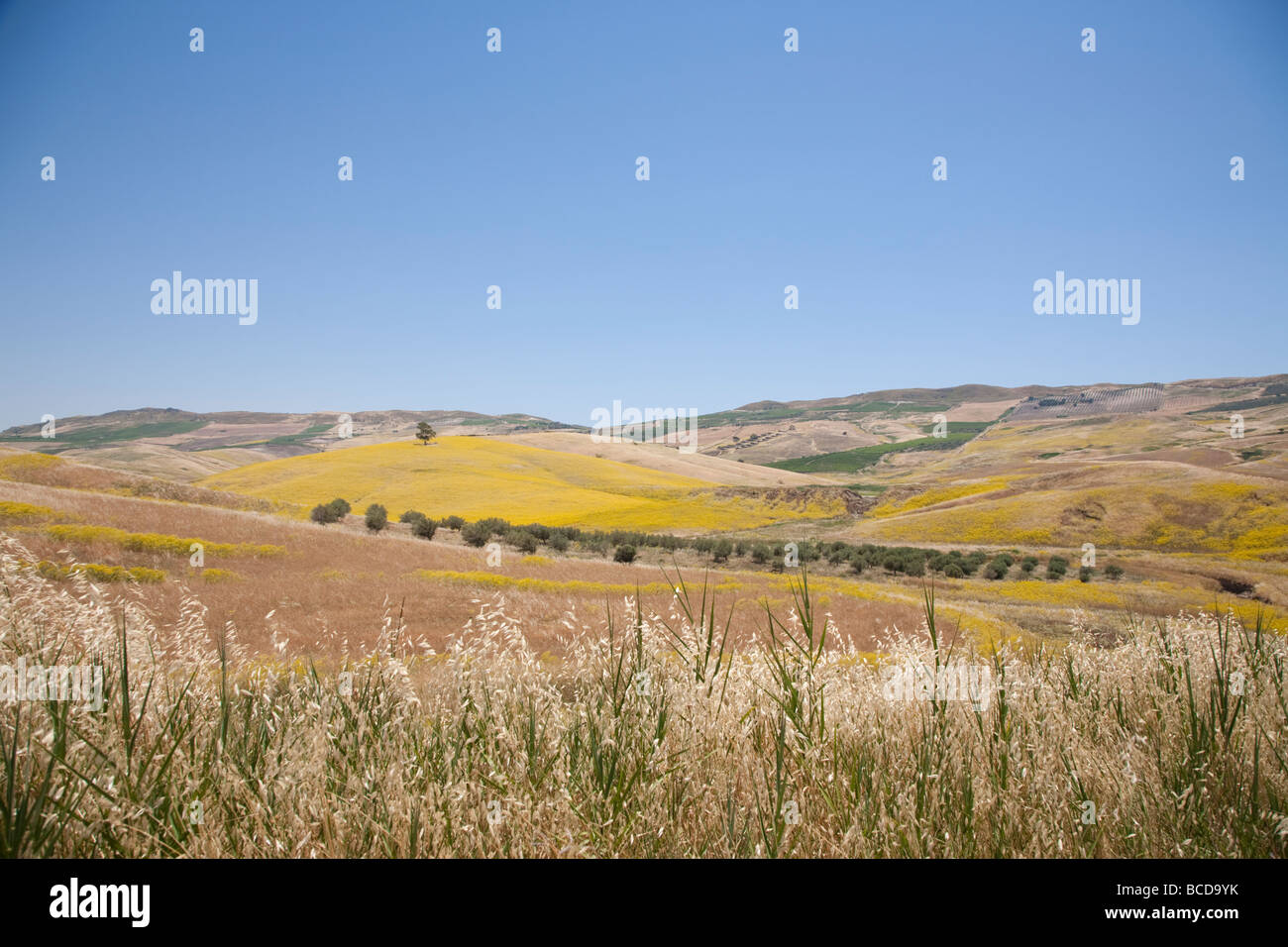 Sicily Countryside Stock Photo