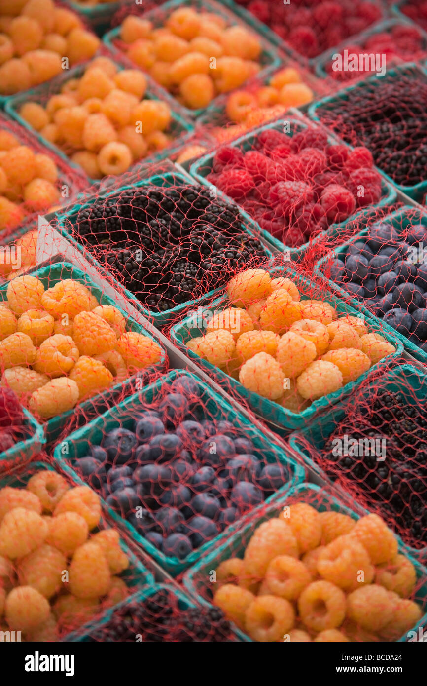 raspberries and blueberries Farmers Market Santa Barbara California United States of America Stock Photo