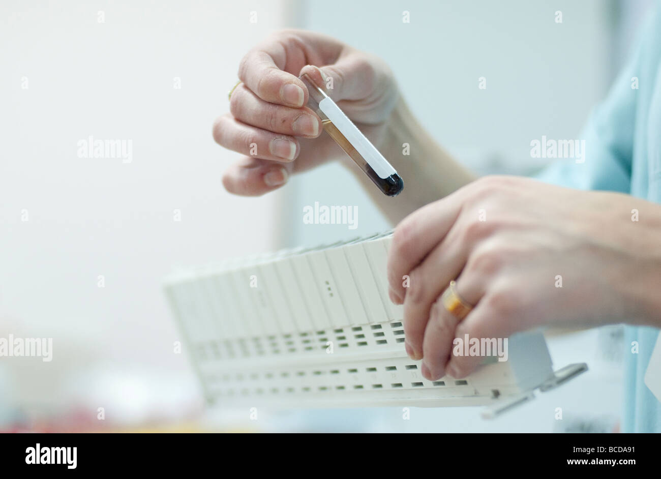 Antibiotic test ring hi-res stock photography and images - Alamy