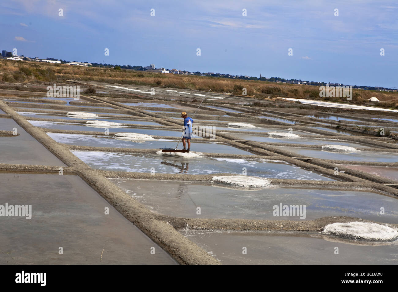 French Sea Salt in Guerande salt marshes, Britanny near Le Croisic