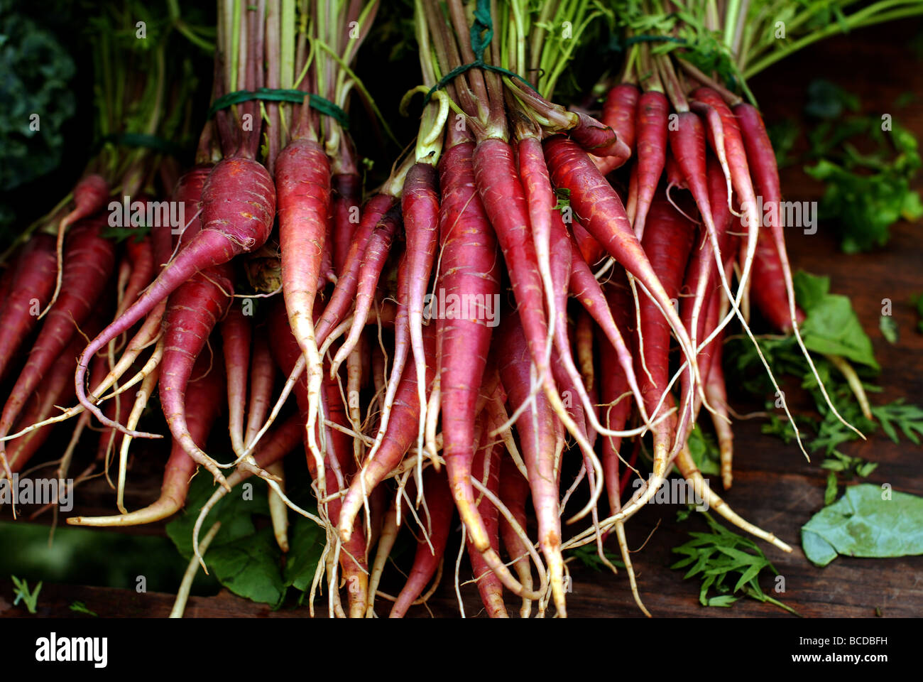 Colorful fruits and vegetables at the Evanston Farmers' Market. Red carrots Stock Photo