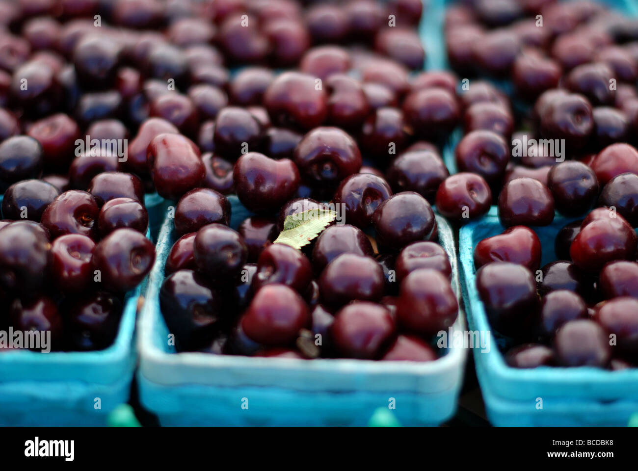 Colorful fruits and vegetables at the Evanston Farmers' Market. Cherries Stock Photo