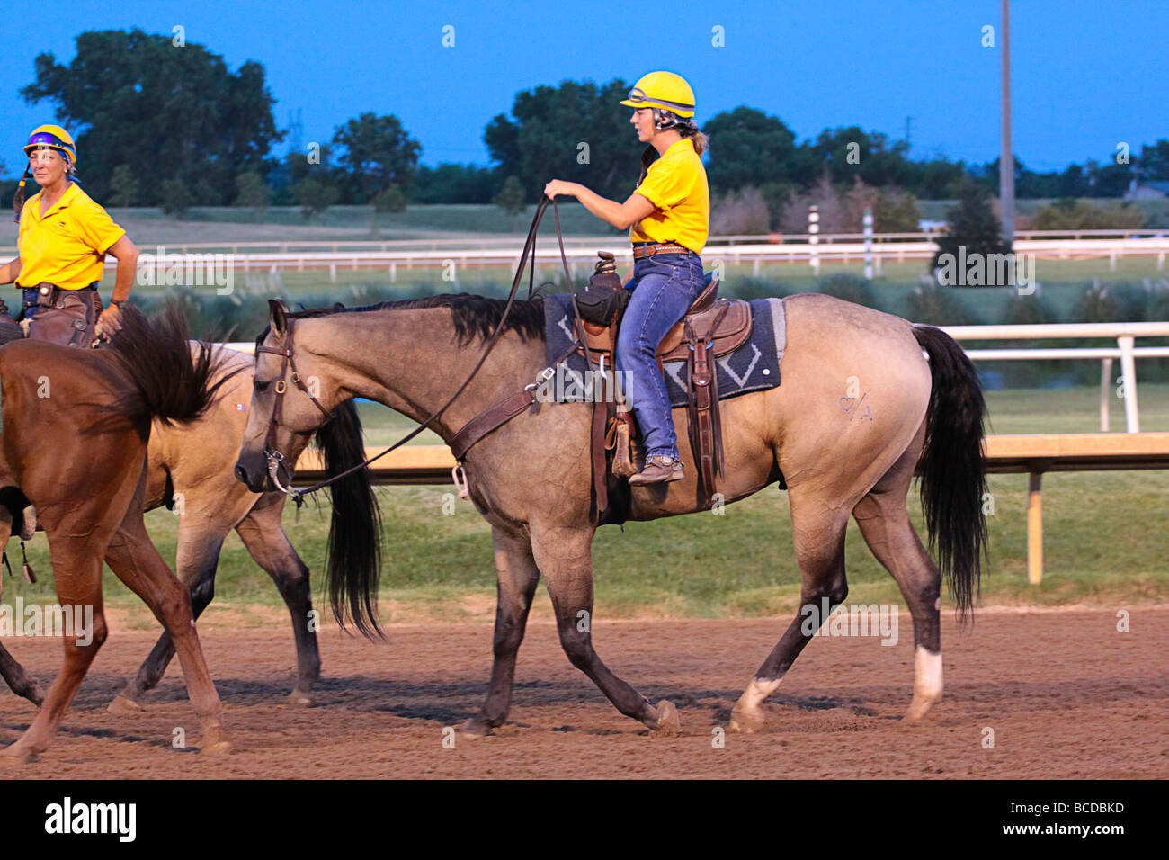 Horse trainers. Stock Photo