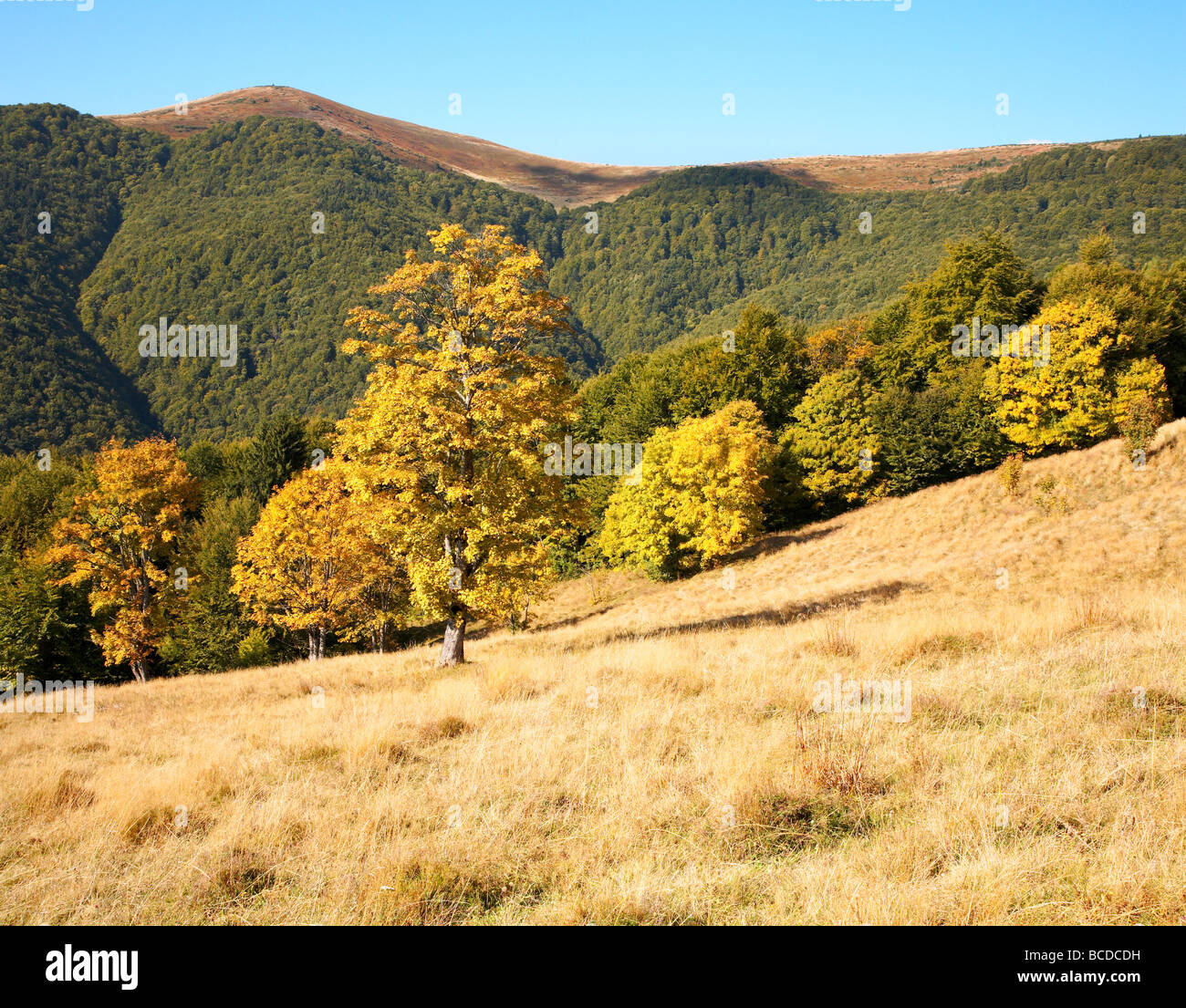 Carpathian Mountains (Ukraine) landscape. Two shots composite picture ...
