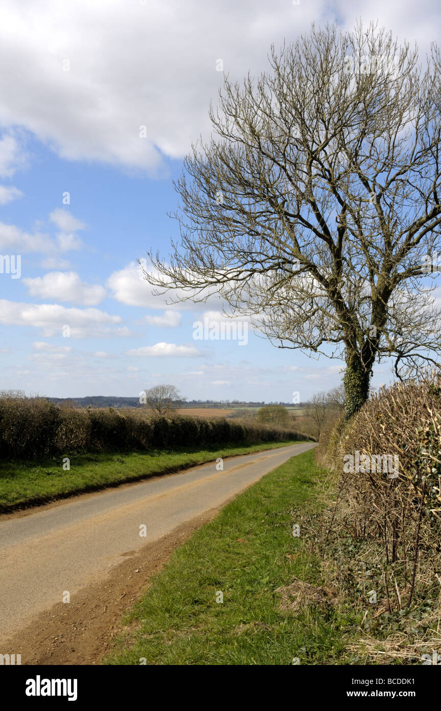 Grass verge country lane hi-res stock photography and images - Alamy