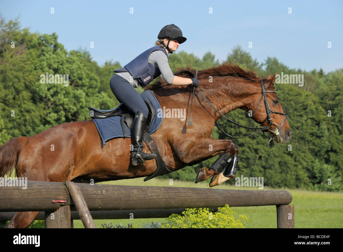 Young rider during cross country jumping Stock Photo Alamy