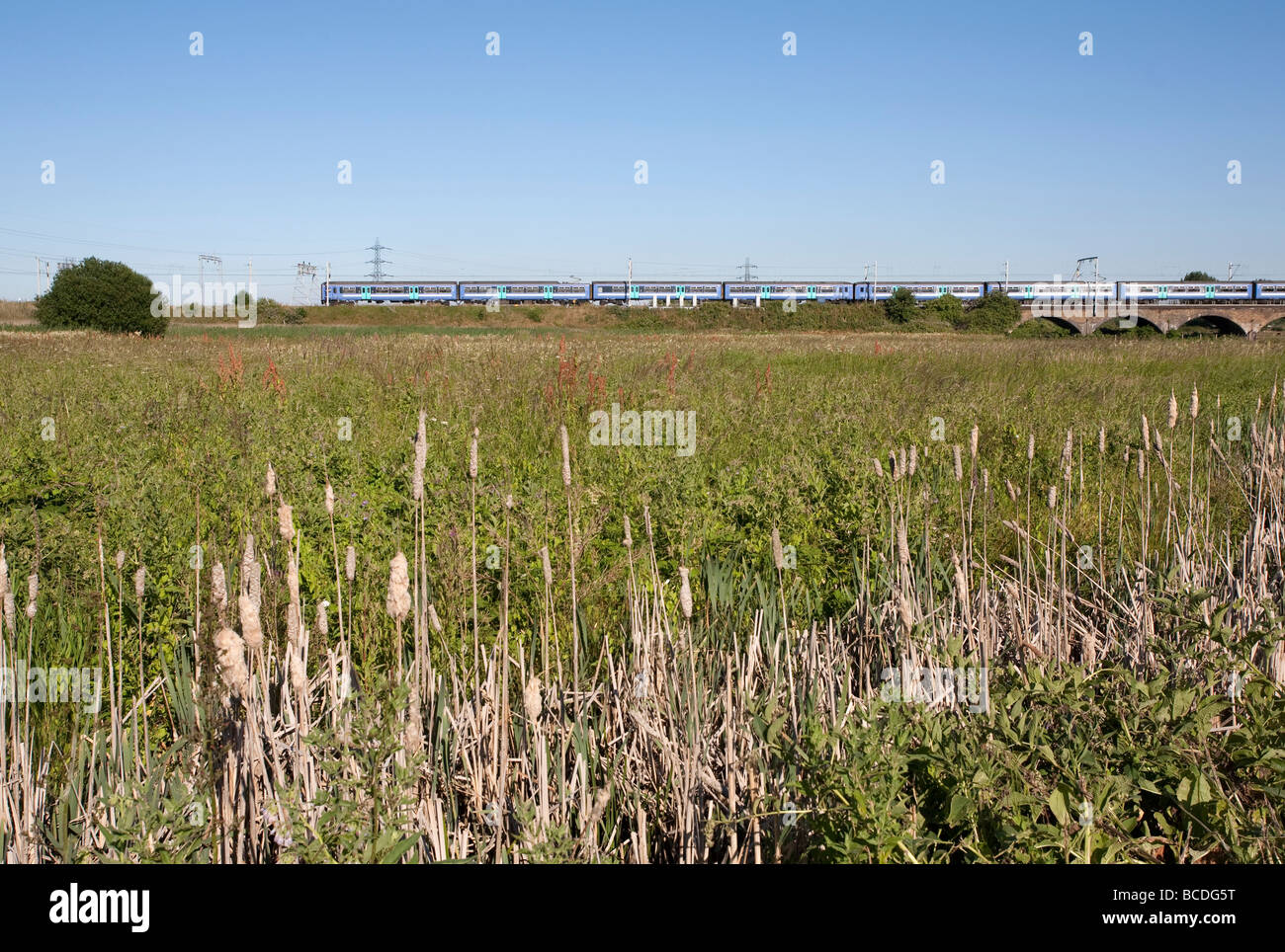 Train seen from Walthamstow Marshes. Lee Valley Regional Park, London, England, UK Stock Photo