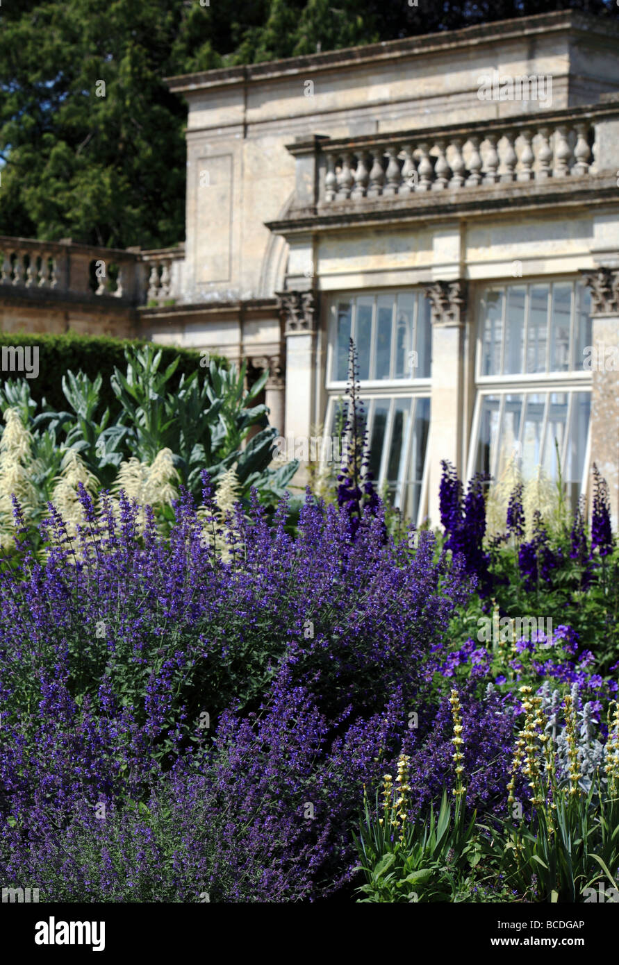 An English Country Garden in summer Stock Photo - Alamy