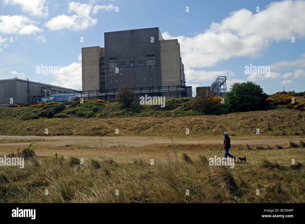 Man walking dog on beach in front of Sizewell A nuclear power station,Leiston,Suffolk,UK Stock Photo