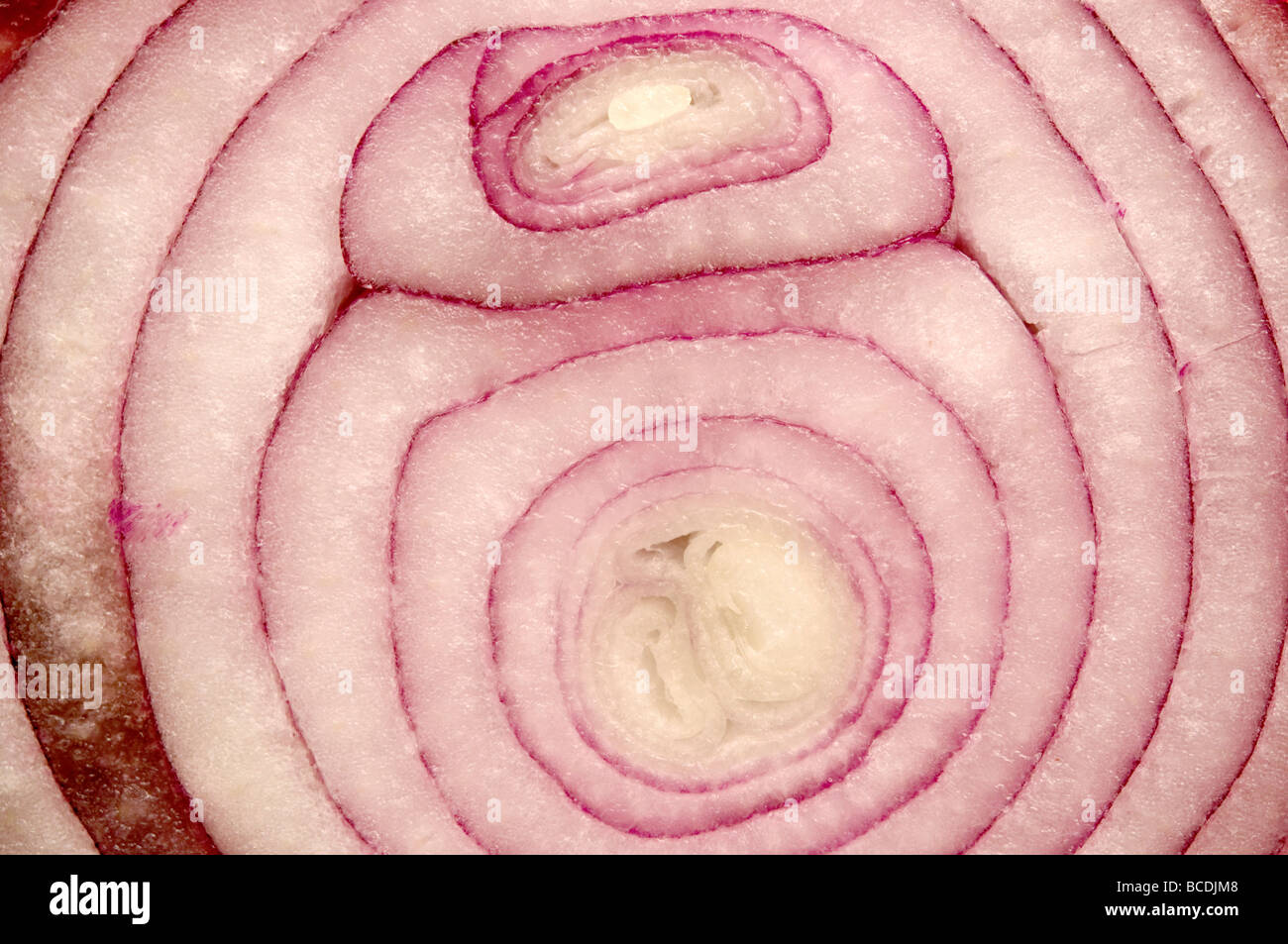 Close up of red onion with visible rings Stock Photo