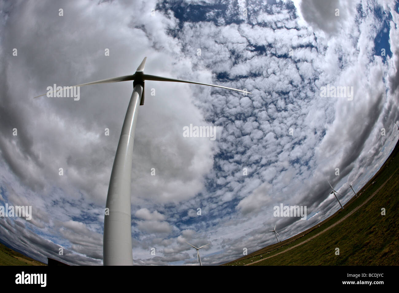 WINDFARMS, WIND TURBINES AT CARNFORTH , LANCASHIRE , UNITED KINGDOM , IN SUN AND WHITE CLOUDS , POWER OF NATURE Stock Photo