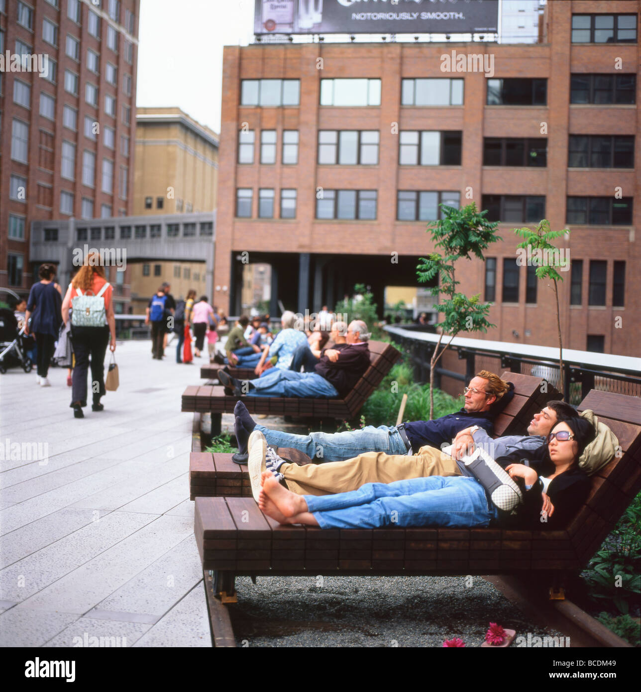 People relaxing on ipe wood chaise lounge furniture on the new High Line Park in Chelsea, Manhattan New York City USA    KATHY DEWITT Stock Photo