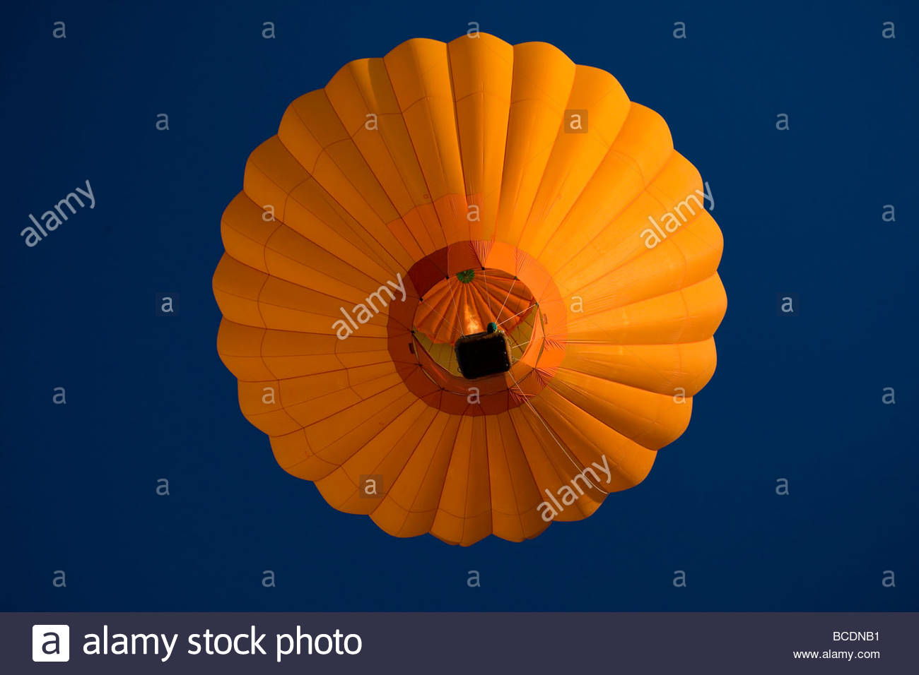 A hot air balloon in a Hot Air Balloon festival Stock Photo Alamy