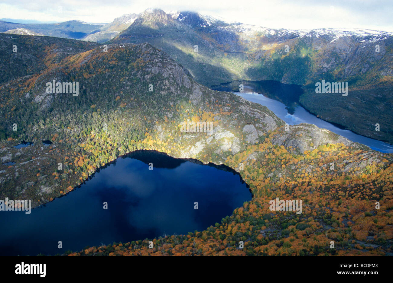 An aerial view of Deciduous Beech, Nothofagus gunnii, and Lake Hanson. Stock Photo