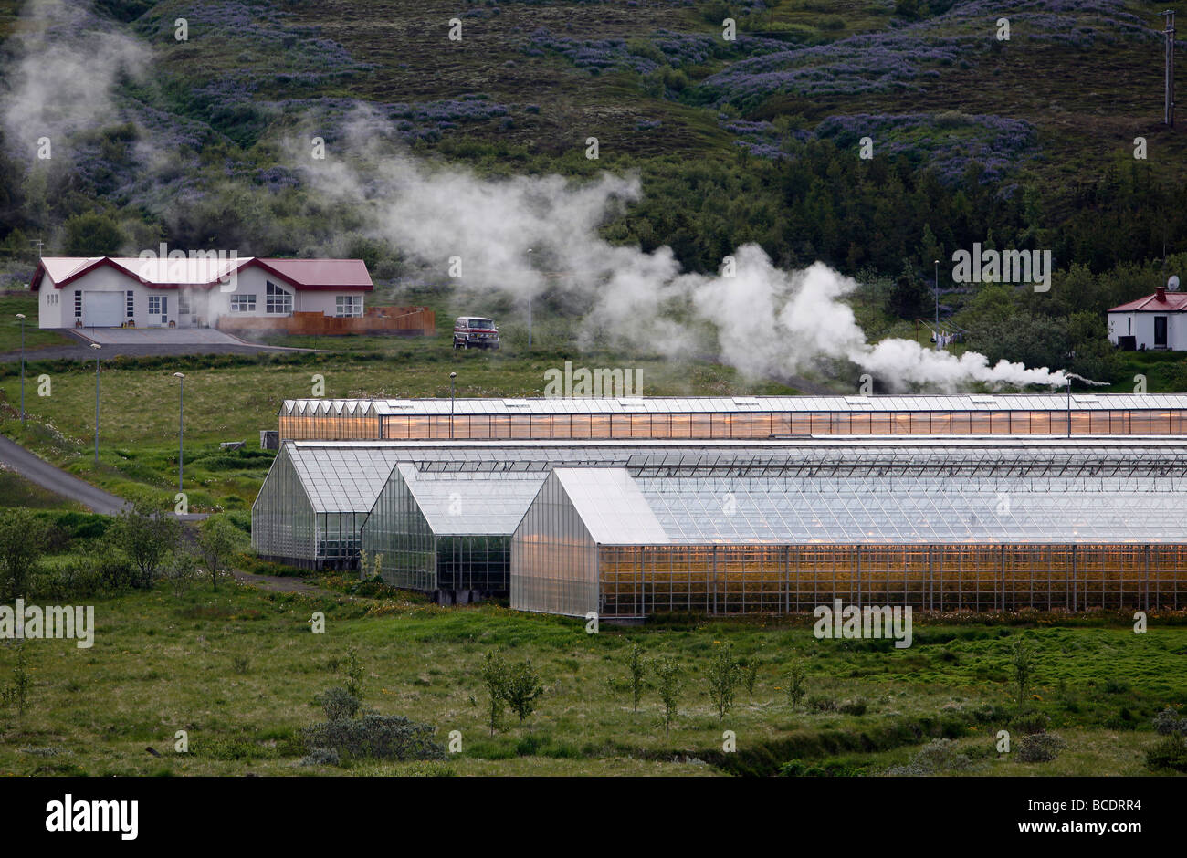 Greenhouses heated with geothermal energy near Husavík, Iceland Stock Photo
