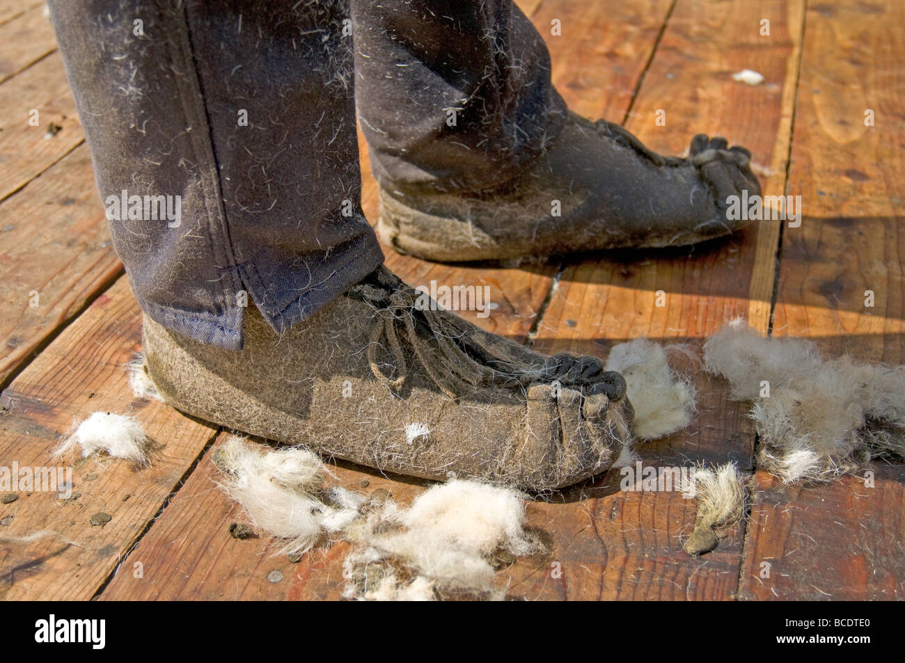 The specialised moccasin type footwear used by Sheep shearers in
