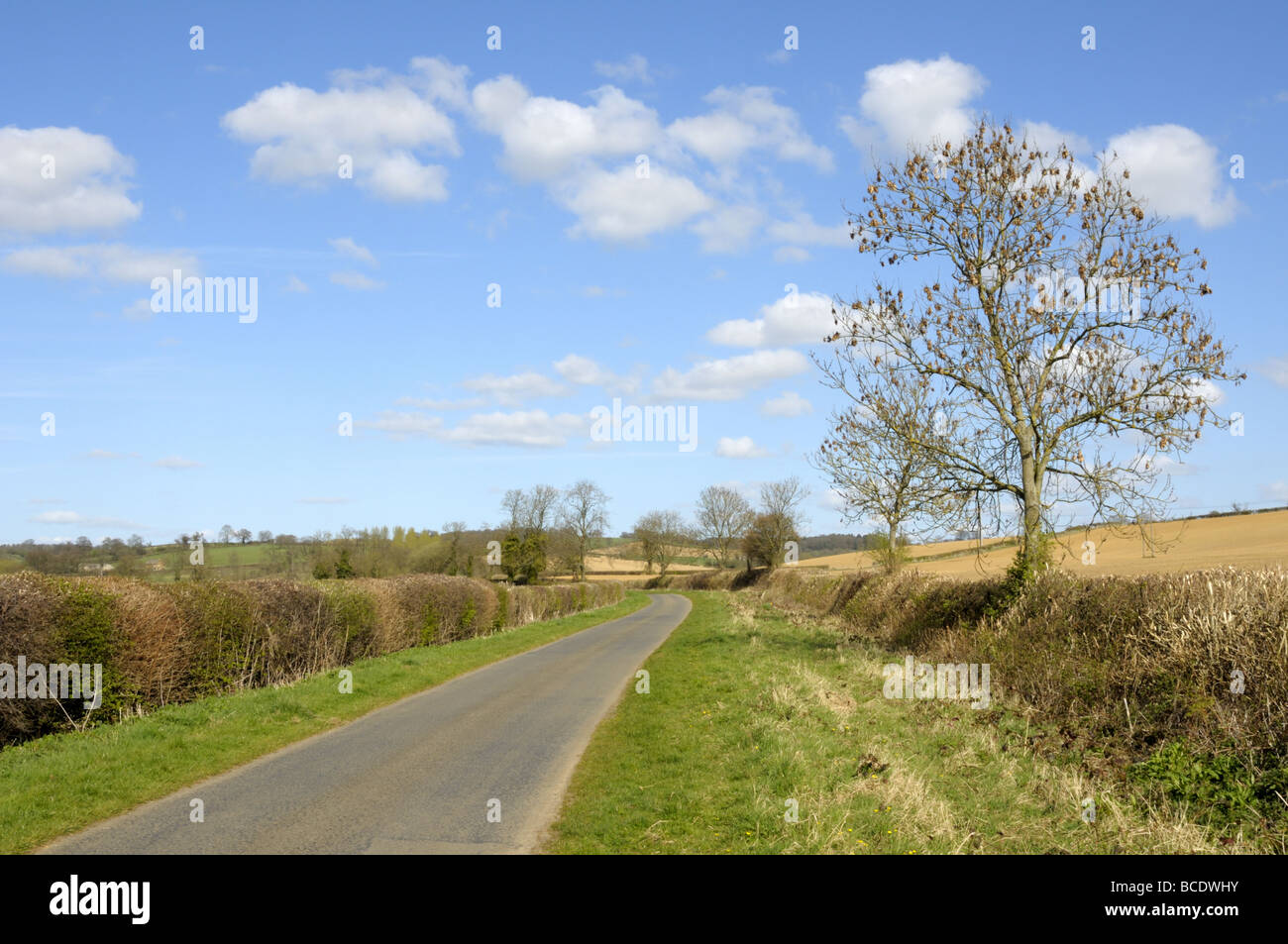 Lane with grass verge hi-res stock photography and images - Alamy
