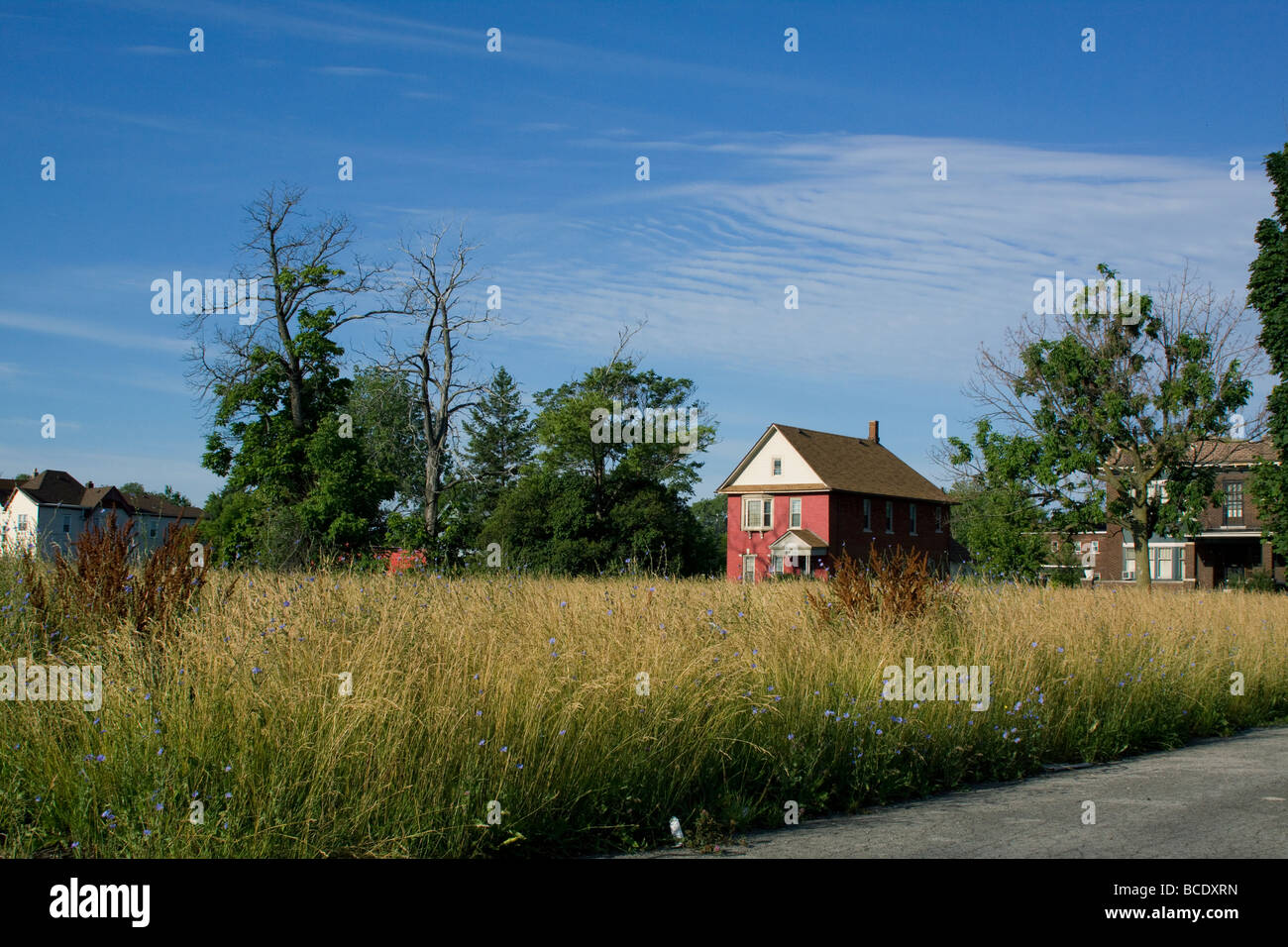 Vacant dwellings west side of Detroit Michigan July 2009 Stock Photo