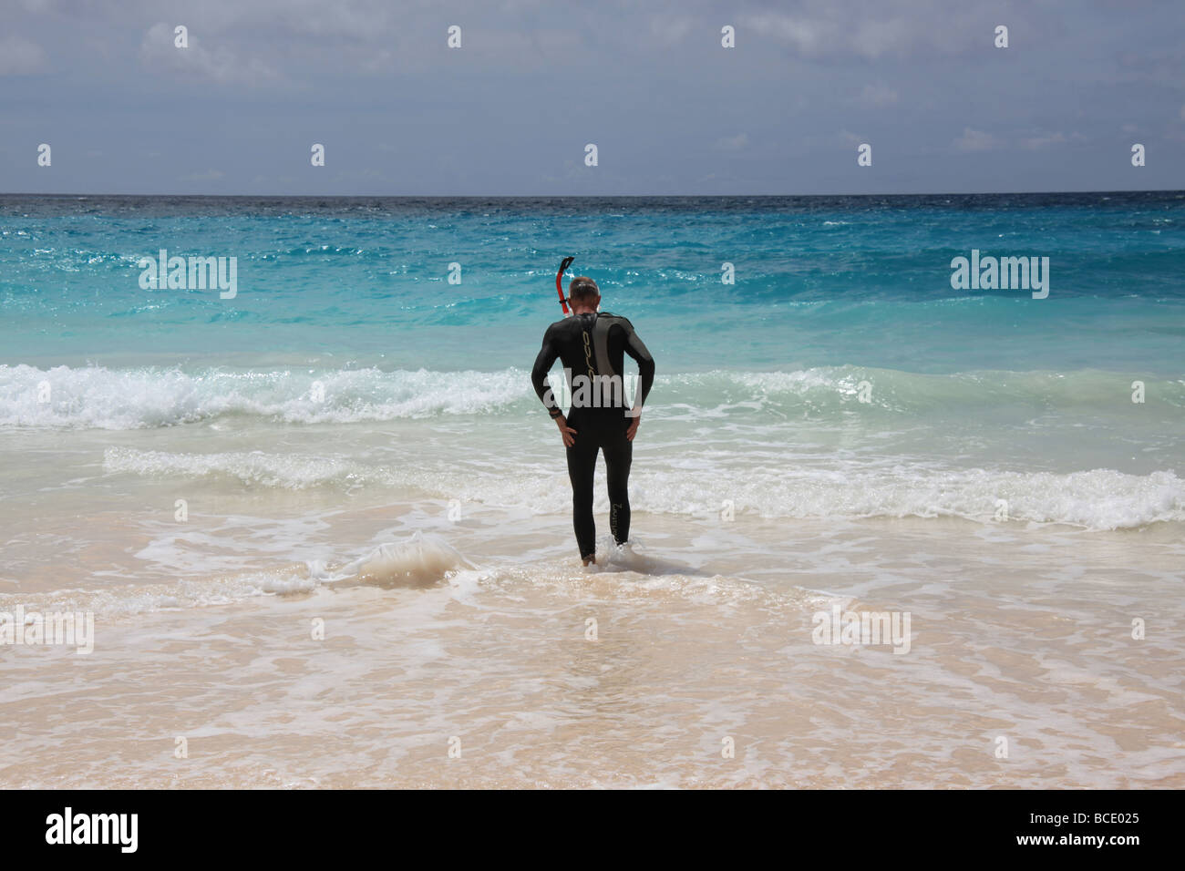 Snorkeller walking into the surf at Horseshoe Bay beach in Bermuda