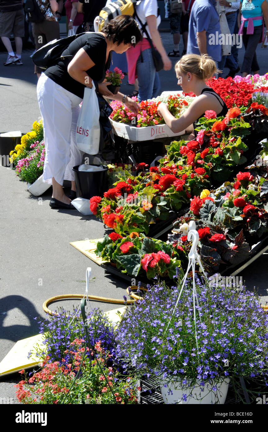 Flower stall, The Fish Market, Bergen, Hordaland, Norway Stock