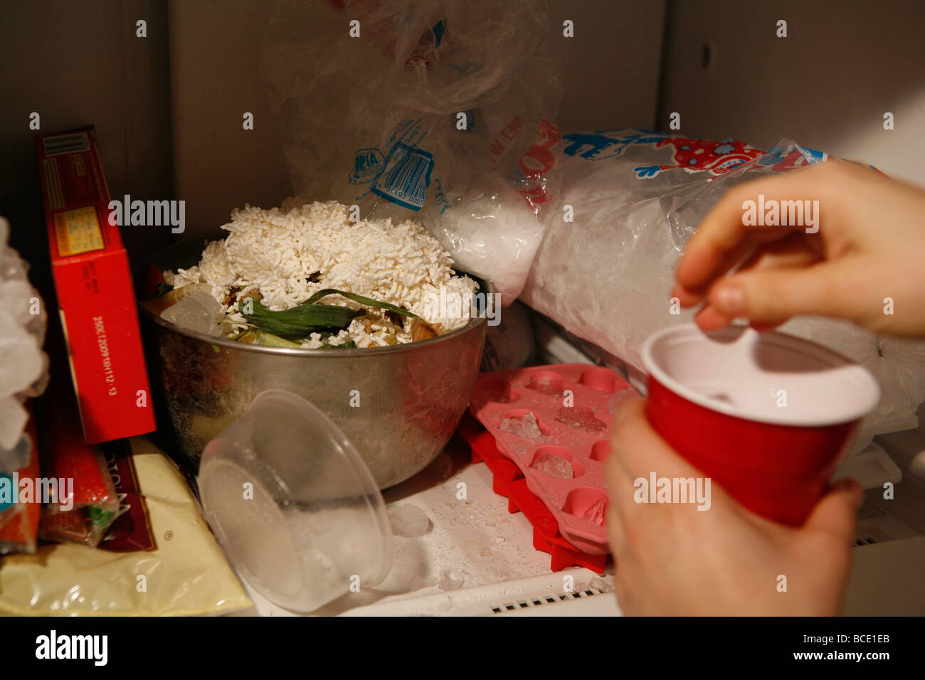 A partier fills a plastic cup with icecubes during a winter party. Stock Photo