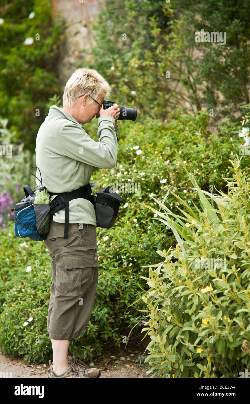 A woman amateur photographer photographing the plants at Powis Castle welshpool Powys WALES UK Stock Photo