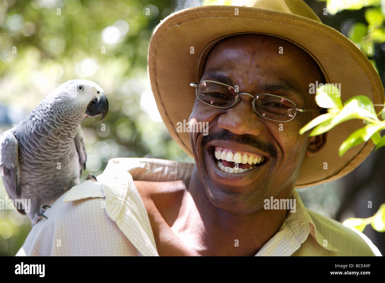 Tour Guide smiling with an African Grey Parrot on his shoulder. Stock Photo