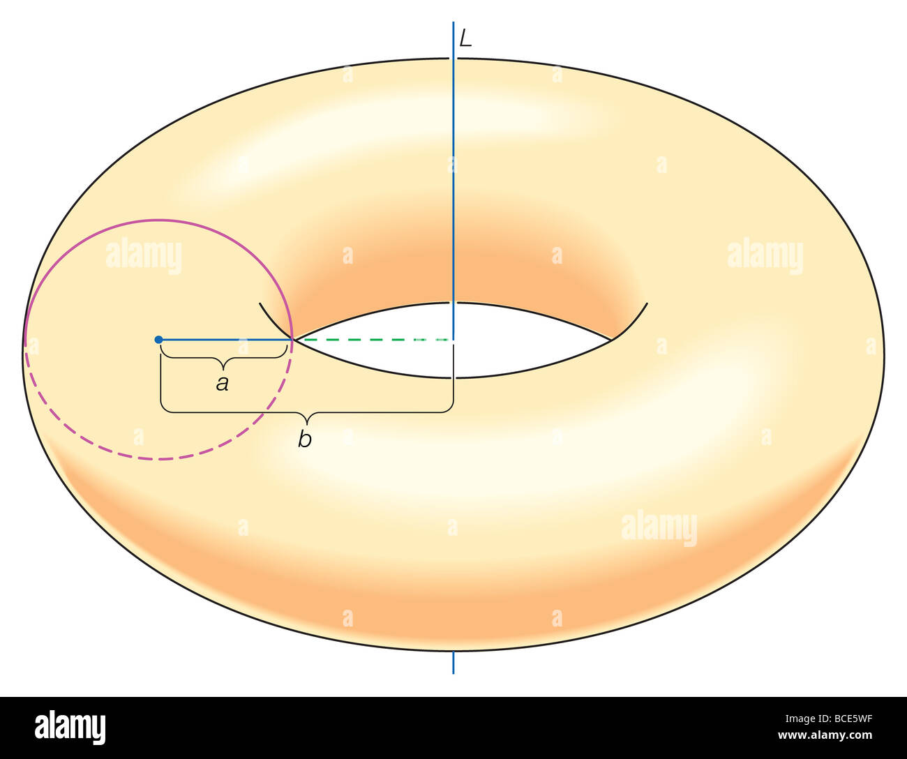 Pappus's theorem proved the formula for the volume of the solid torus obtained by rotating the disk of radius a around line L. Stock Photo