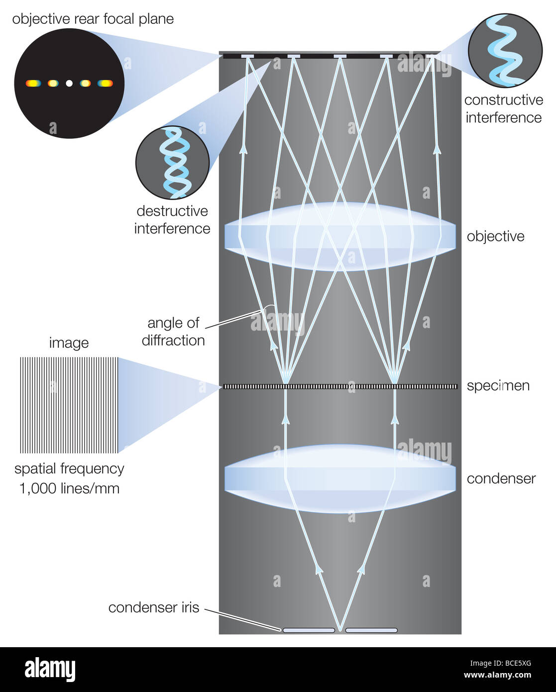Image formation in a microscope, according to the Abbe theory Stock