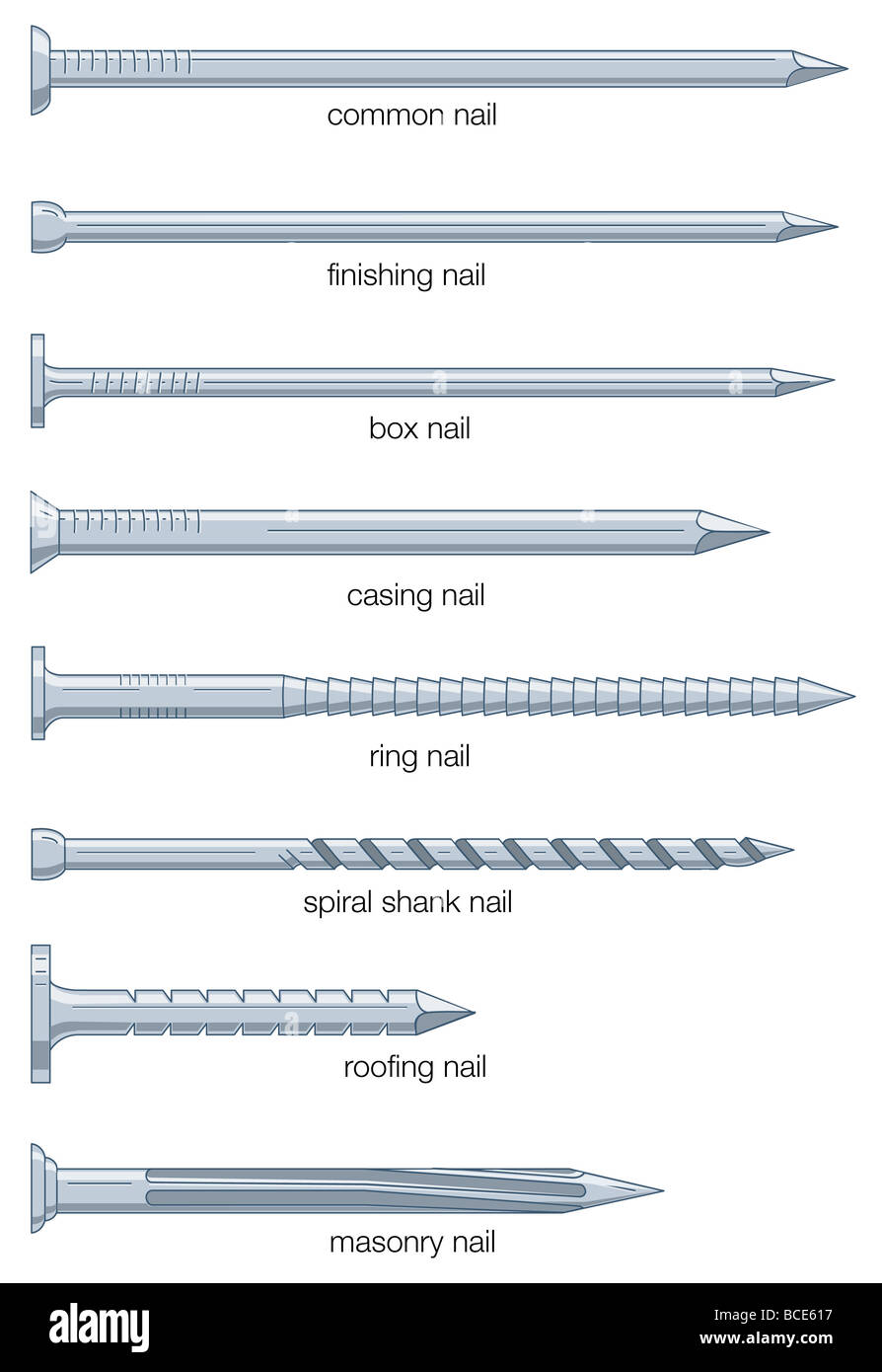 types of nails