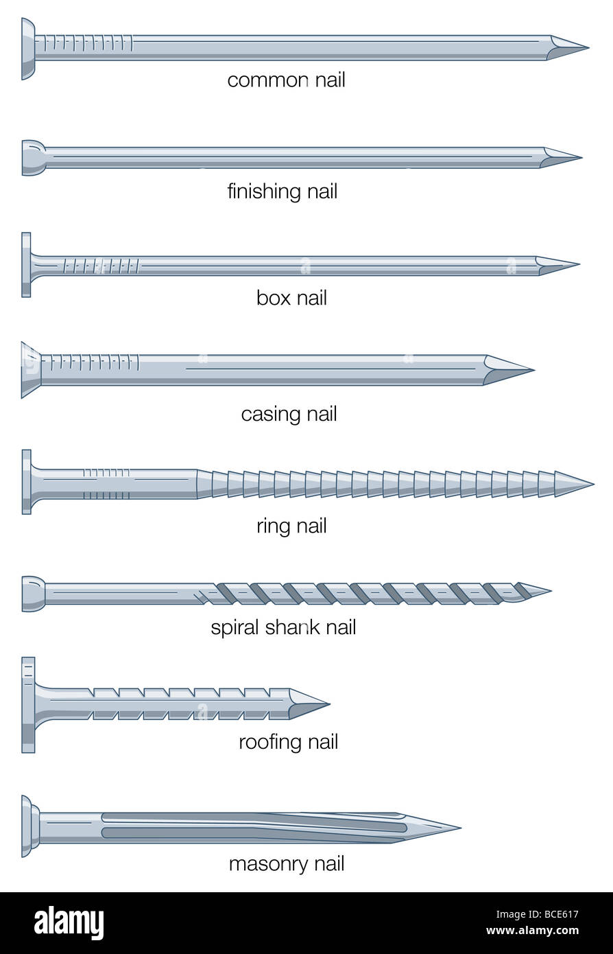 Different types of nails. Stock Photo