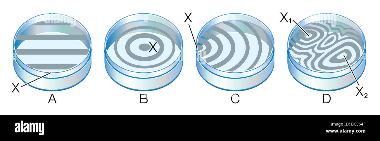 Interference patterns formed by test surfaces. A: flat surface, B & C: convex surface, D: irregular surface, 2 contact points. Stock Photo