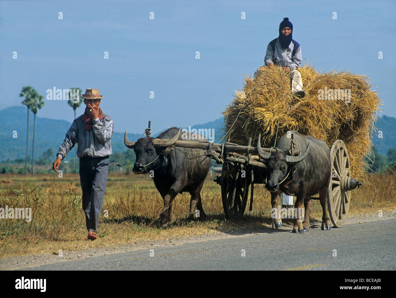 2374 Isaan People with Water buffalo cart North East Thailand
