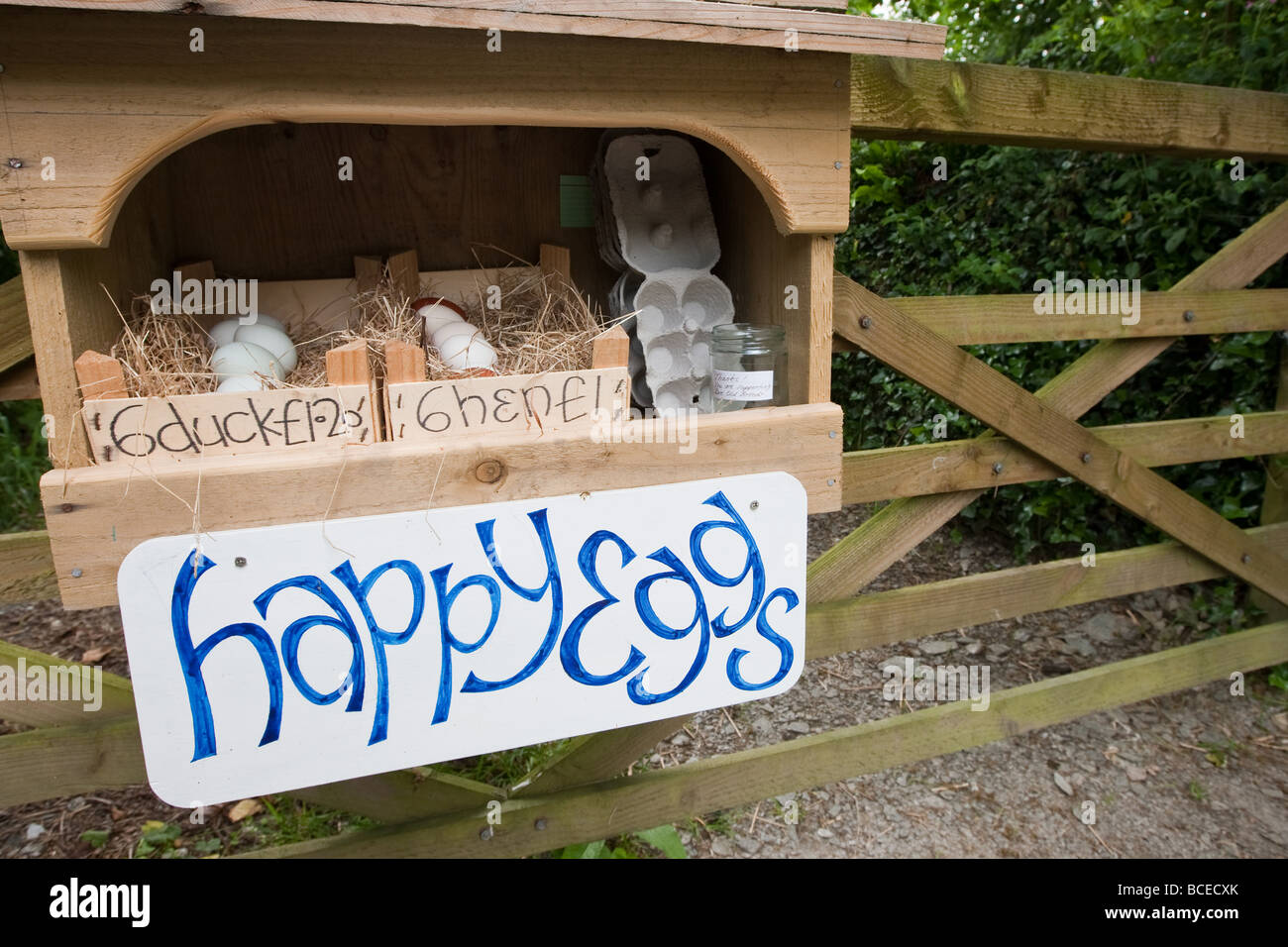 Eggs for sale Stock Photo Alamy