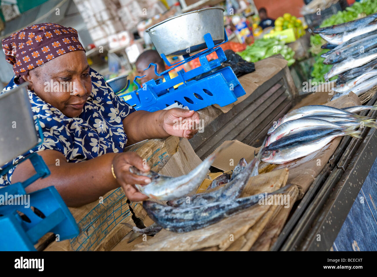 Mozambique, Maputo. A large African lady lays out fresh fish on her stall in the Central Makret in Maputo. Stock Photo