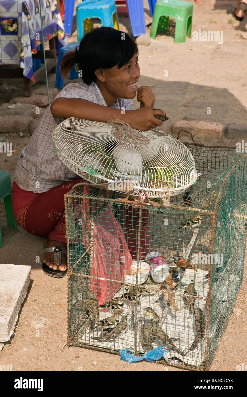 Burma, Myanmar, Yangon. A woman selling caged birds. When released they are said to bring people s wishes true. Stock Photo