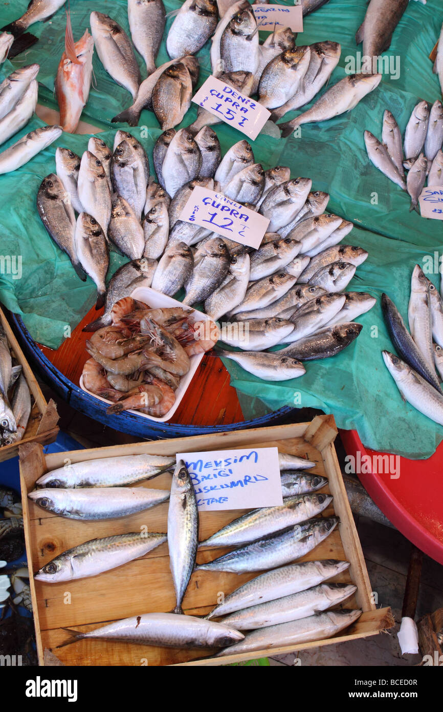Istanbul Turkey Kumkapi fresh fish market Stock Photo Alamy