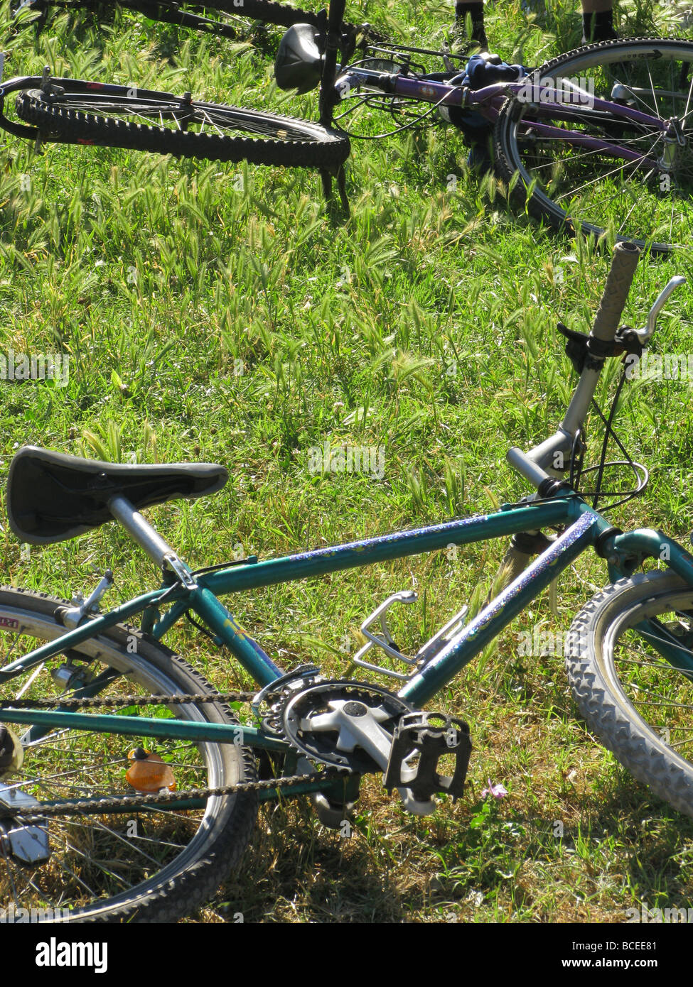 Many racers hi-res stock photography and images - Alamy