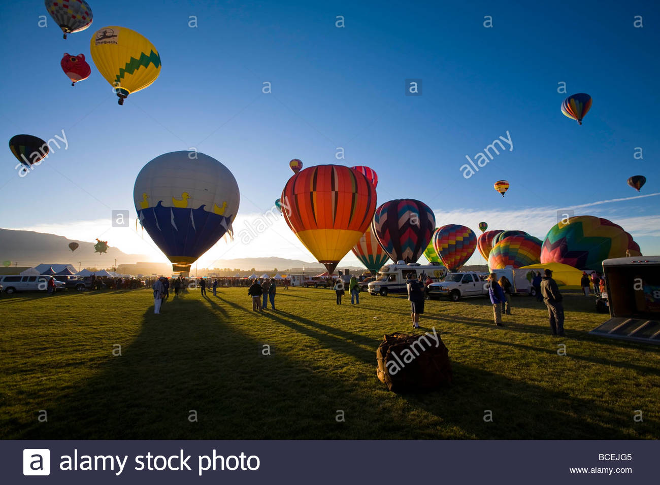 Several vividly colored hot air balloons float above a field Stock ...