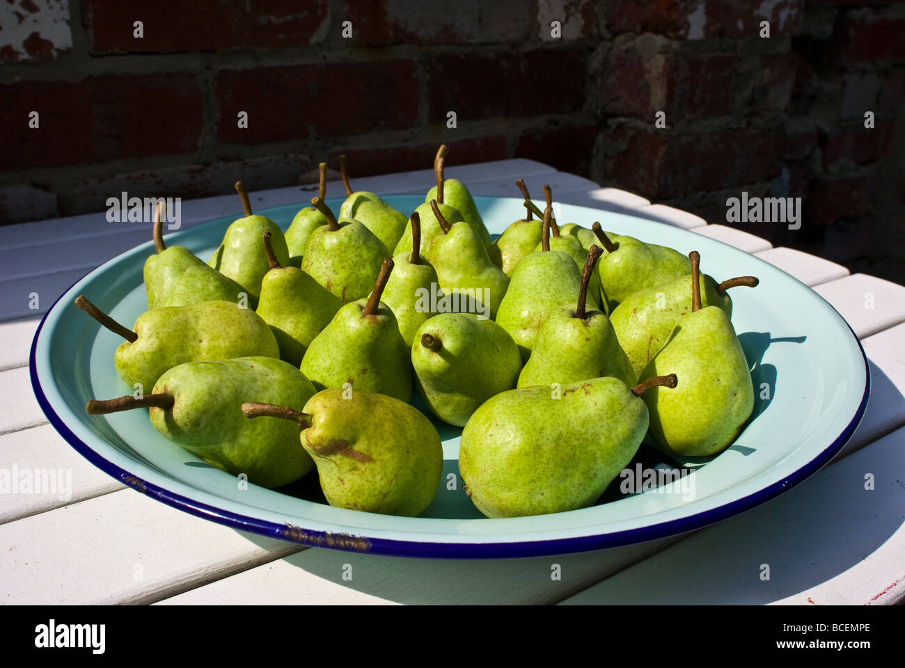 A plate of ripe delicious pears on a platter in a garden. Stock Photo