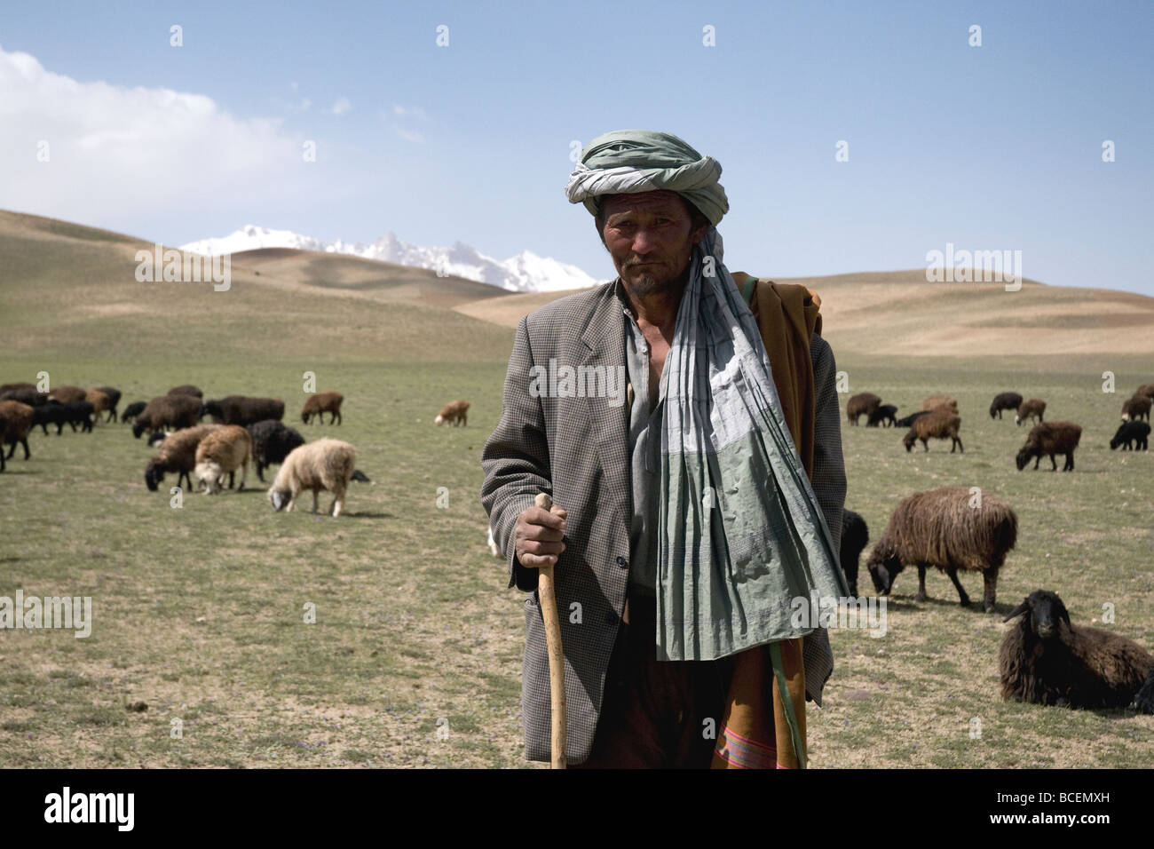 A Hazara shepherd grazes his sheep on highlands in Afghanistan's Bamiyan province Stock Photo