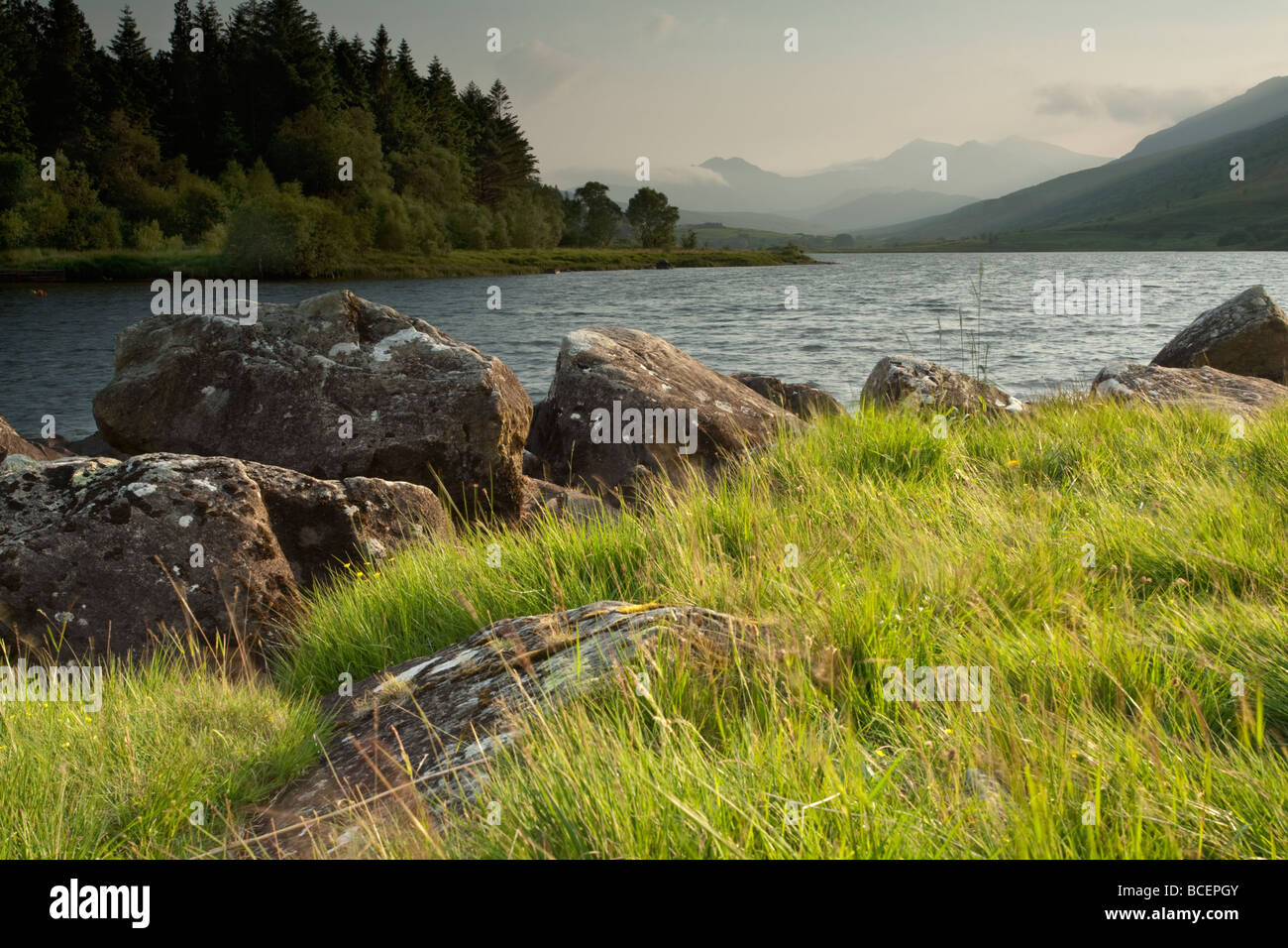 Mymbur hi-res stock photography and images - Alamy