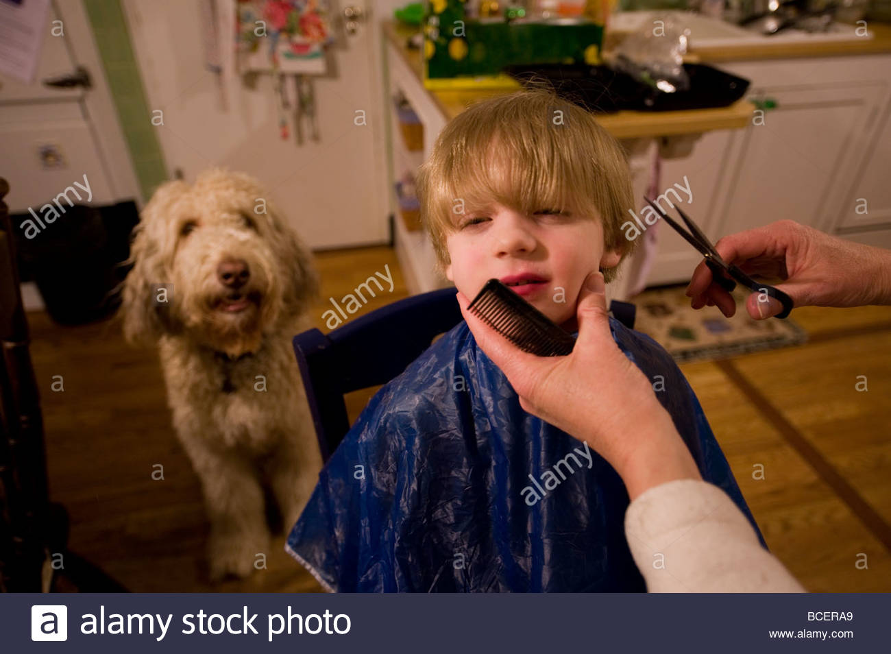 A 4 Year Old Boy Gets His Haircut Stock Photo 24911889 Alamy
