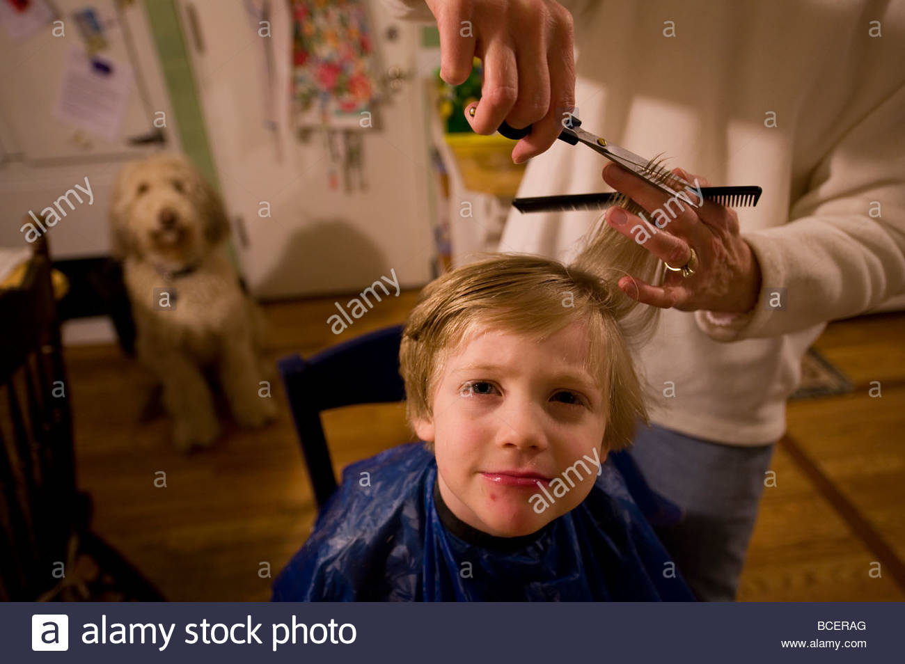 A 4 Year Old Boy Gets His Haircut Stock Photo 24911896 Alamy
