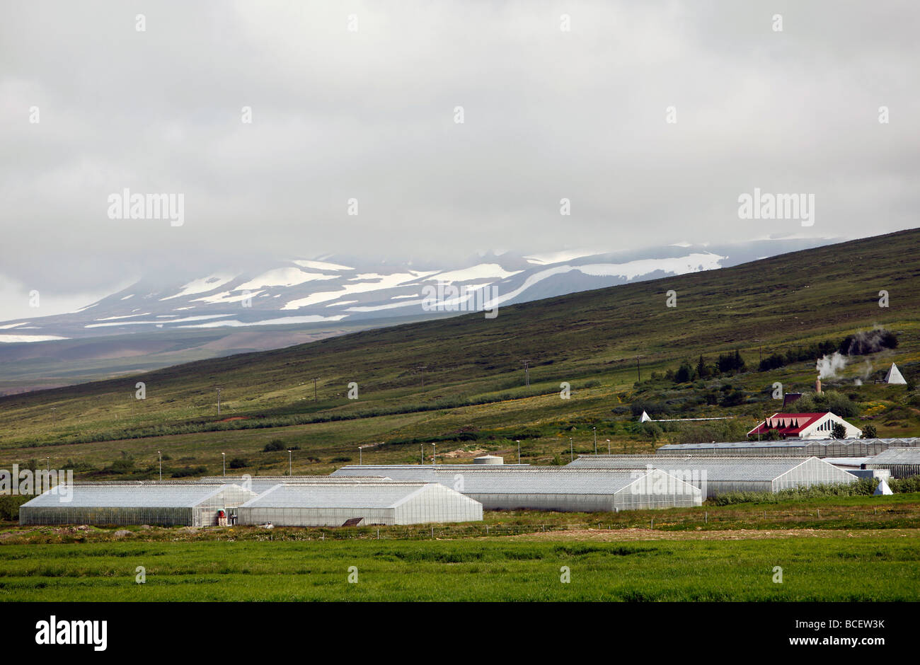 Geothermally heated greenhouses in north central Iceland Stock Photo